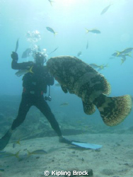 Man vs Fish by Kipling Brock 